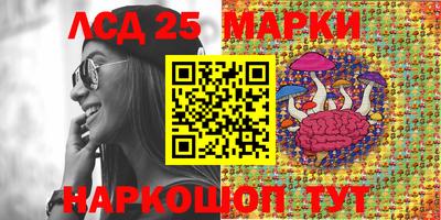 apvp Нальчик