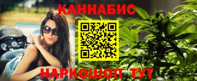 apvp Нальчик