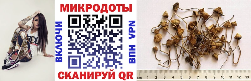 Галлюциногенные грибы мицелий  цена   Электрогорск 