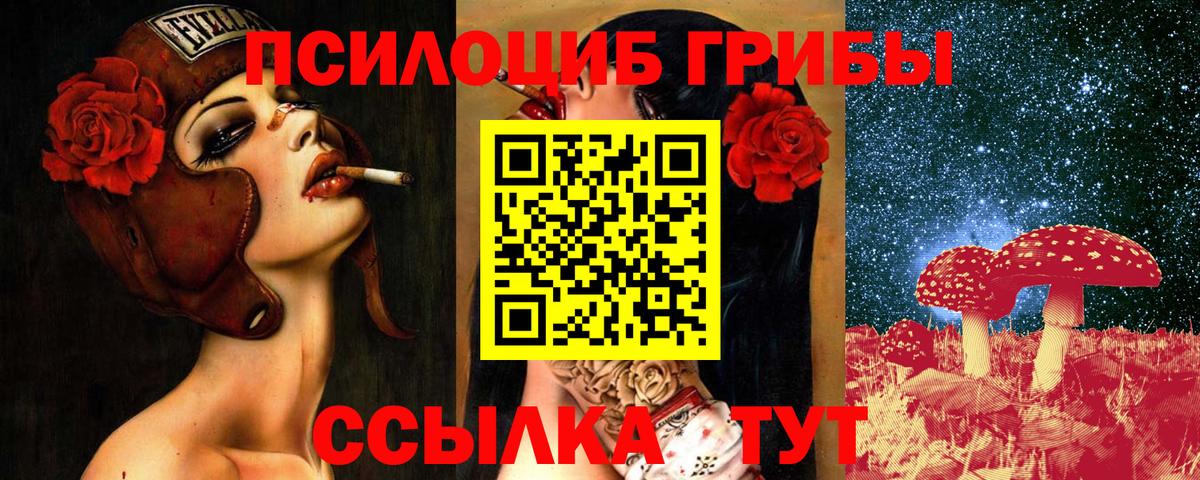 Галлюциногенные грибы прущие грибы Электрогорск