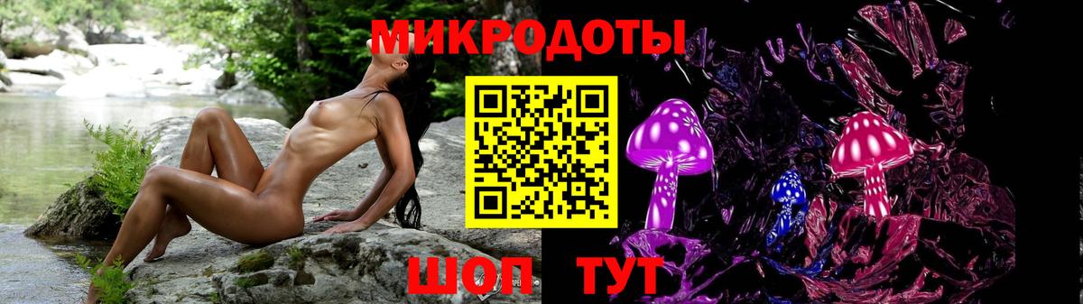 Электрогорск  Галлюциногенные грибы GOLDEN TEACHER  Вход с VPN 