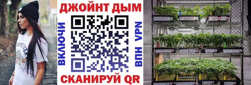 Конопля Ganja  Электрогорск 